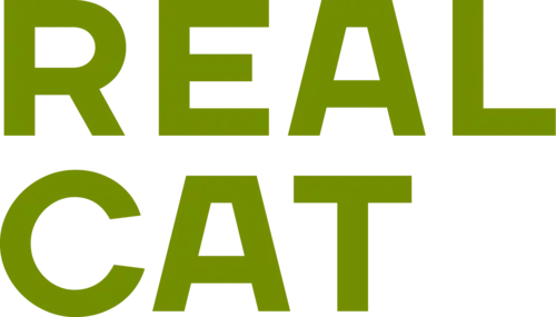 Real Cat