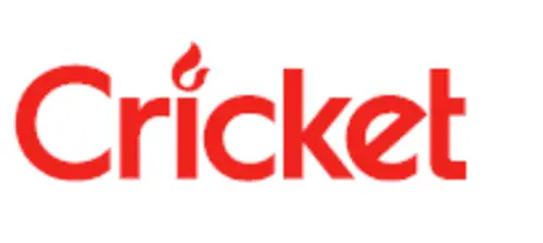 Cricket